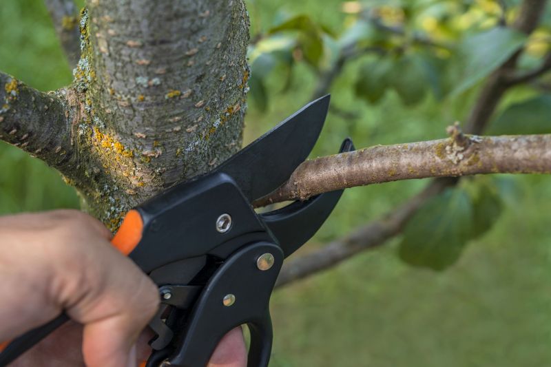 Pruning Technique