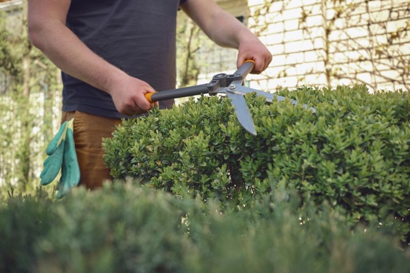 Pruning Tools and Techniques