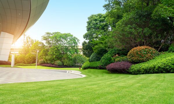 Commercial Shrub Trimming in Brunswick