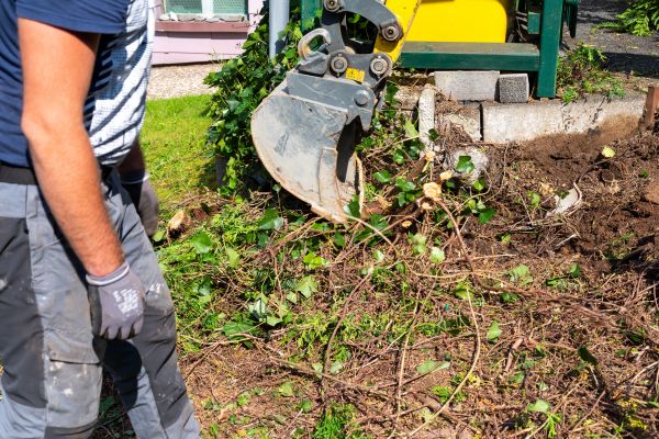 Hedge Removal Service in Brunswick