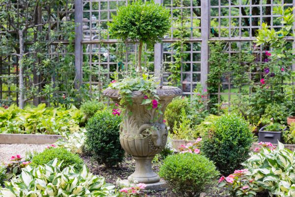 Cost of Topiary Pruning in Brunswick