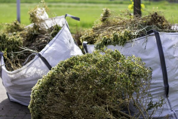Shrubs Removal in Brunswick