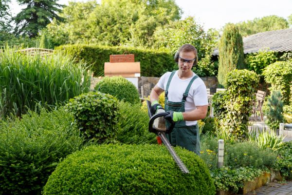 Shrubs Trimming in Brunswick